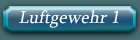 RK_Luftgewehr1