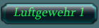 RK_Luftgewehr1