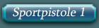 RK_Sportpistole1