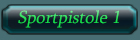 RK_Sportpistole1